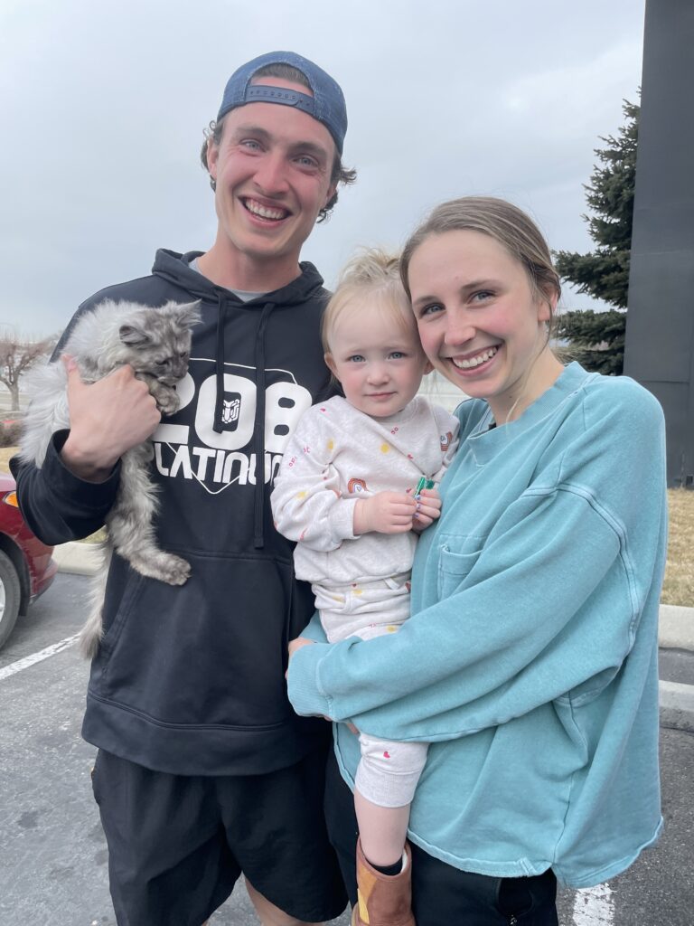 black-smoke-maine-coon-kitten-delivery