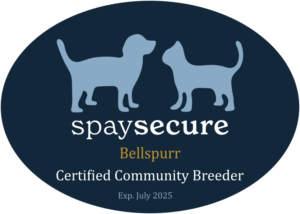 spaysecure-bellspurr-cretified-community-breeder