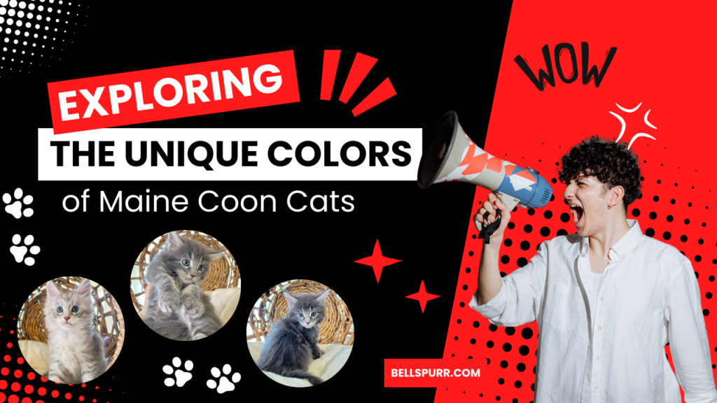 Exploring the Unique Colors of Maine Coon Cats