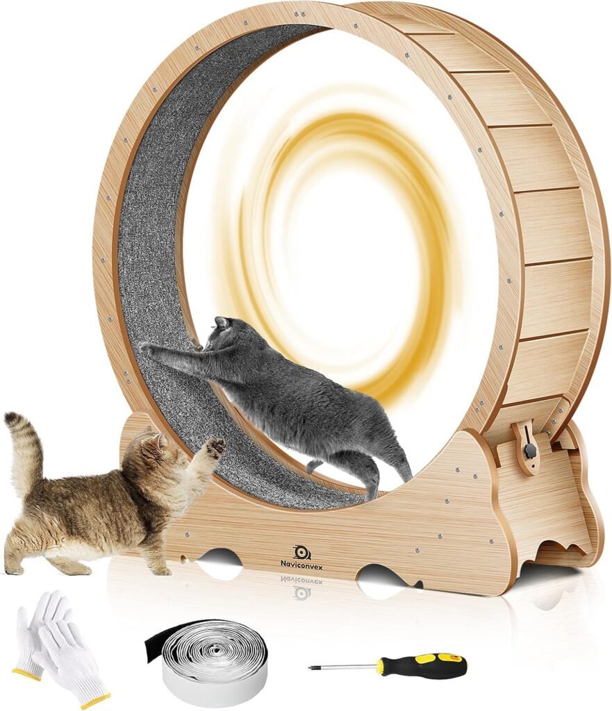 Cat Wheel the 43 L Large Cat Exercise Running Wheel is Perfect for Maintaining the Maine Coon Breed Standard Promoting Health and Activity for Large Cats Indoors